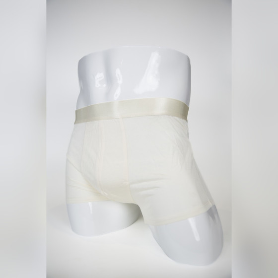 Pure Tussah Silk Underwear