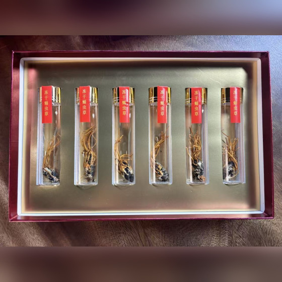 Cordyceps Gift Box