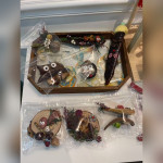 Nutshell Plant Fridge Magnet